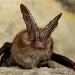 Meet your Posher, Anneke